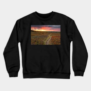 Dolly Sods Twilight Trail Crewneck Sweatshirt